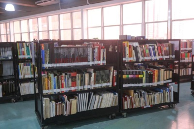 Fundação Cultural do Pará saúda o Dia do Bibliotecário celebrado neste domingo (12)