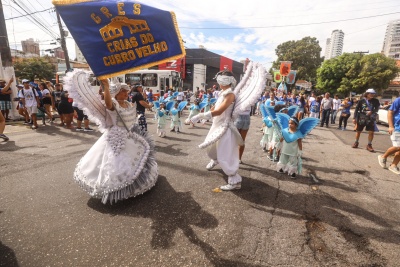 'Natureza, Eco dos Elementos e Elementais': conheça o samba enredo do Carnaval das Crias do Curro Velho 2024