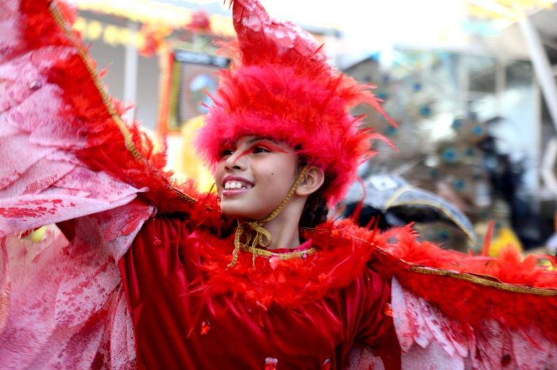 Arraial de Todos os Santos 2025 - Revoada dos Pássaros